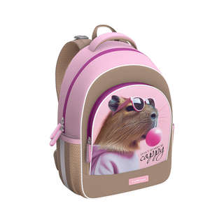 Ученический рюкзак с грудной перемычкой ErichKrause ErgoLineR...