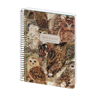 Ежедневник недатированный BV Сute Diary: Волшебные совы, А5, ...