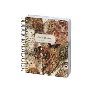 Ежедневник недатированный BV Сute Diary: Волшебные совы, А6, ...