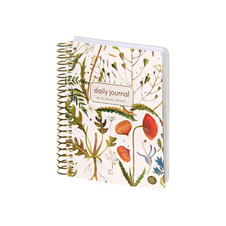 Ежедневник недатированный BV Сute Diary: Луговые травы, А6, 2...