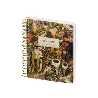 Ежедневник недатированный BV Сute Diary: Эльфийский лес, А6, ...