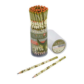 Карандаш чернографитовый, HB, пластик, трехгранный, BrunoVisconti Fun Динозавр, с ластиком 4