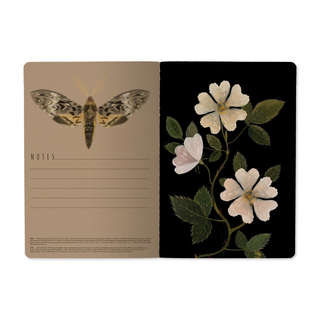 Тетрадь А5, 40 листов в клетку, BrunoVisconti Ночной сад 4