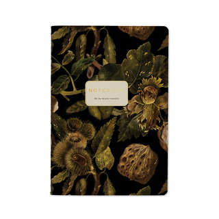 Тетрадь А5, 40 листов в клетку, BrunoVisconti Орехи