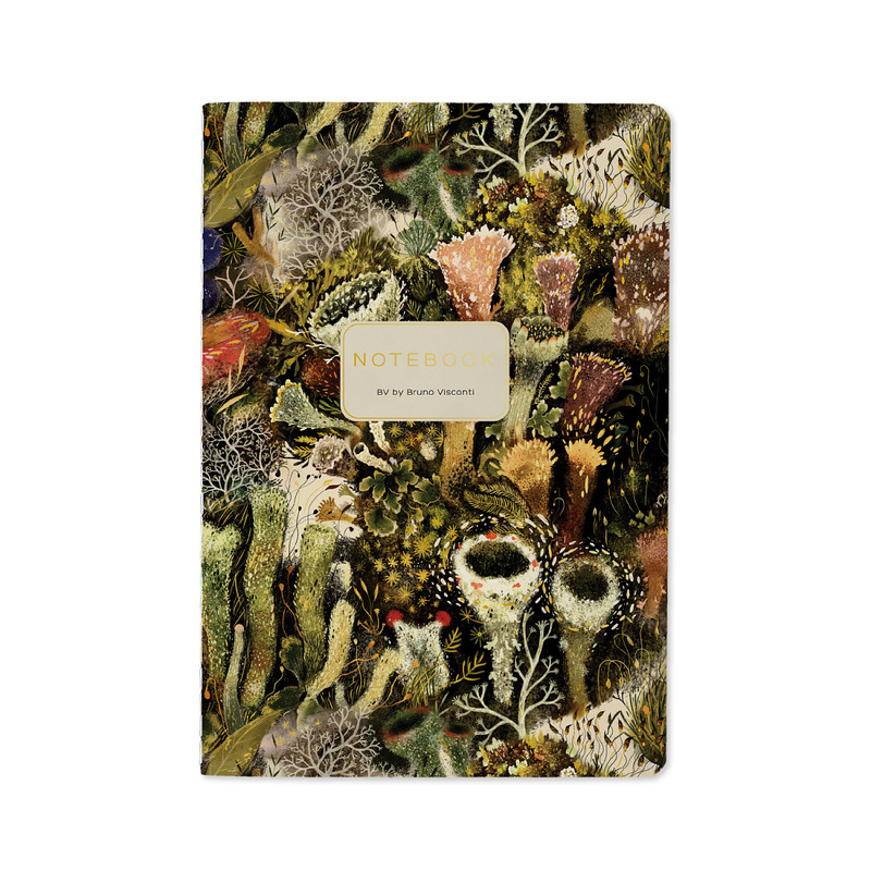 Тетрадь А5, 40 листов в клетку, BrunoVisconti Эльфийский лес