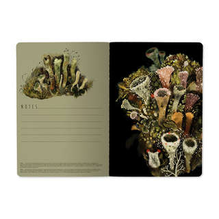 Тетрадь А5, 40 листов в клетку, BrunoVisconti Эльфийский лес 4