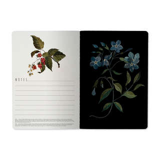 Тетрадь А5, 40 листов в клетку, BrunoVisconti Лесные ягоды 2