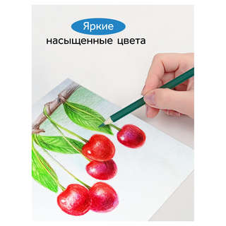 Карандаши акварельные 24 цвета, Гамма Классические шестигранные, заточенные, с кистью 7