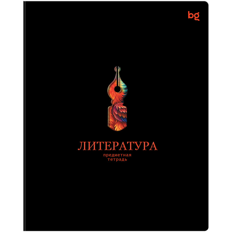 Тетрадь предметная 48 листов, BG Информационное поле: Литература