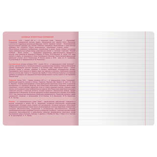 Тетрадь предметная 48 листов, BG Информационное поле: Литература 3