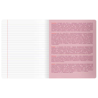 Тетрадь предметная 48 листов, BG Информационное поле: Литература 5