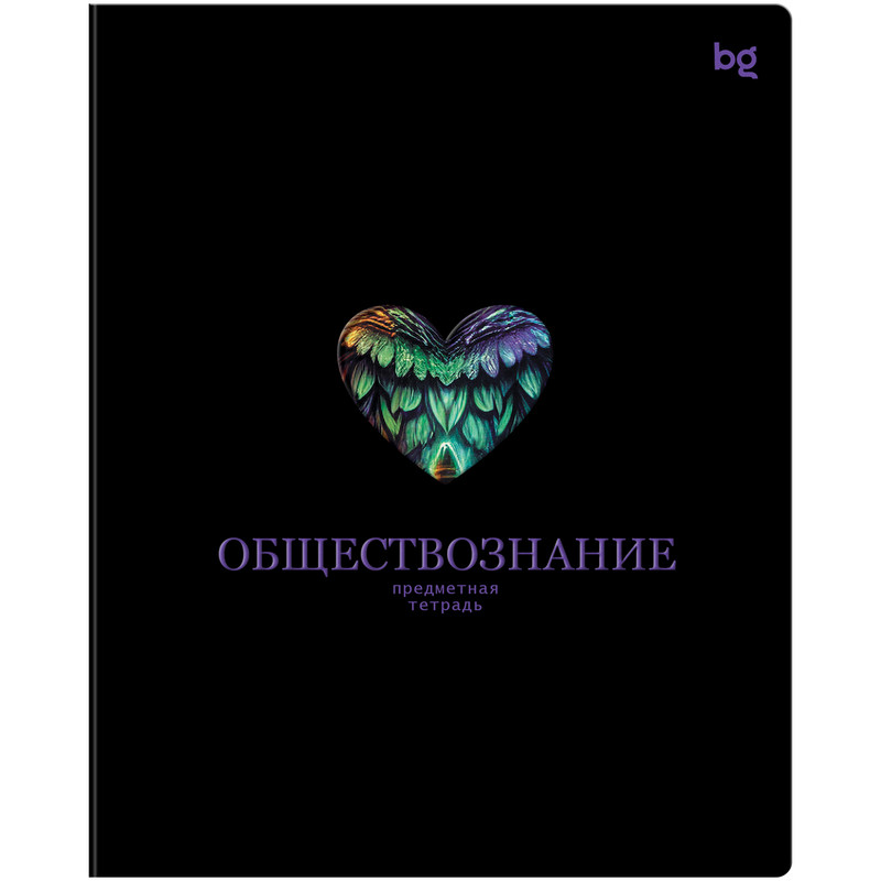 Тетрадь предметная 48 листов, BG Информационное поле: Обществознание