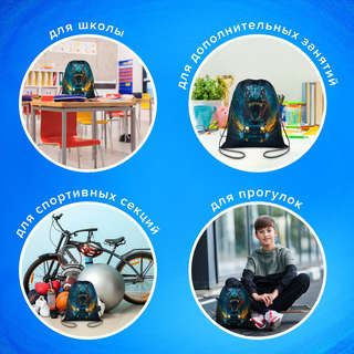 Мешок для обуви Brauberg Kids 'Dino chase', 42х34 см, с петлей 8