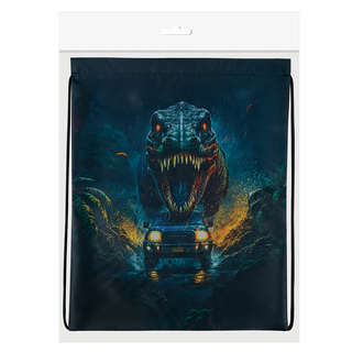 Мешок для обуви Brauberg Kids 'Dino chase', 42х34 см, с петлей 5