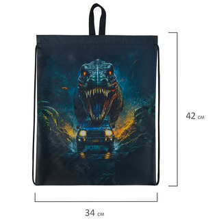Мешок для обуви Brauberg Kids 'Dino chase', 42х34 см, с петлей 6