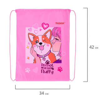 Мешок для сменной обуви 'Корги', 43х34 см 2