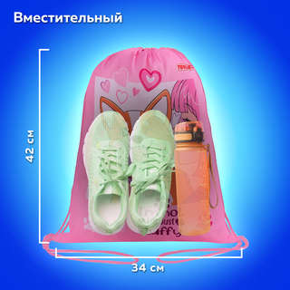 Мешок для сменной обуви 'Корги', 43х34 см 8