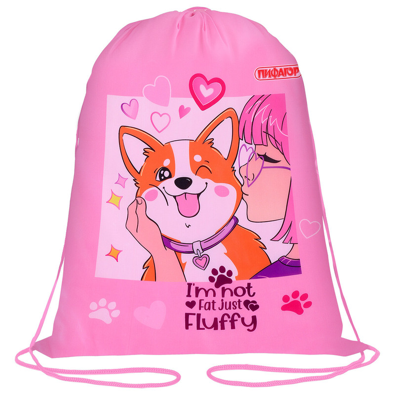 Мешок для сменной обуви 'Корги', 43х34 см