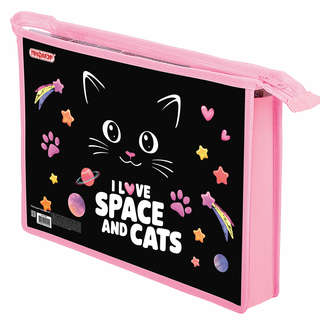 Папка для тетрадей 'Dark kitten' А4, 1 отделение, картон/плас...