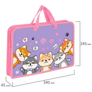 Папка на молнии с ручками 'Best fellows' А4, 1 отделение, пластик 5