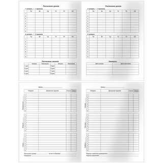 Дневник 5-11 классы, 48 листов, BG 'Crystal globe' 4