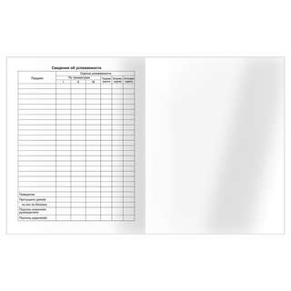 Дневник 5-11 классы, 48 листов, BG 'Crystal globe' 8