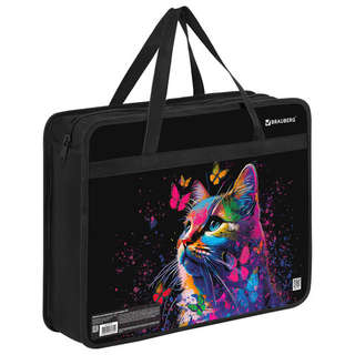 Папка на молнии с ручками Brauberg А4, 1 отделение, пластик, ...