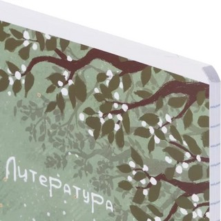 Комплект из 12-ти предметных тетрадей BeSmart 'Soul' 14