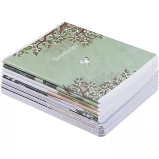 Комплект из 12-ти предметных тетрадей BeSmart 'Soul' 16