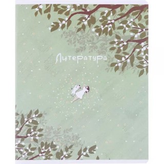 Комплект из 12-ти предметных тетрадей BeSmart 'Soul' 2