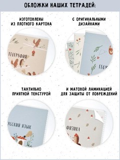 Комплект из 12-ти предметных тетрадей BeSmart 'Soul' 18