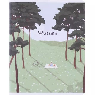 Комплект из 12-ти предметных тетрадей BeSmart 'Soul' 3