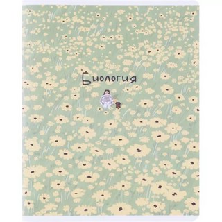 Комплект из 12-ти предметных тетрадей BeSmart 'Soul' 10