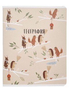 Комплект из 12-ти предметных тетрадей BeSmart 'Dreamland' 12