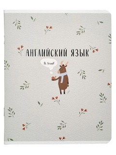 Комплект из 12-ти предметных тетрадей BeSmart 'Dreamland' 13