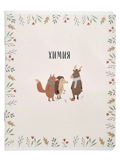 Комплект из 12-ти предметных тетрадей BeSmart 'Dreamland' 14