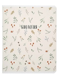 Комплект из 12-ти предметных тетрадей BeSmart 'Dreamland' 15