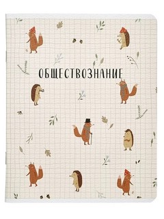 Комплект из 12-ти предметных тетрадей BeSmart 'Dreamland' 17