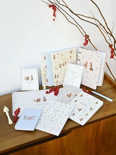 Комплект из 12-ти предметных тетрадей BeSmart 'Dreamland' 19