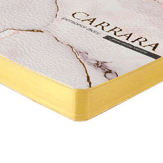 Ежедневник 'Carrara' недатированный А5, 256 стр, BrunoVisconti 3