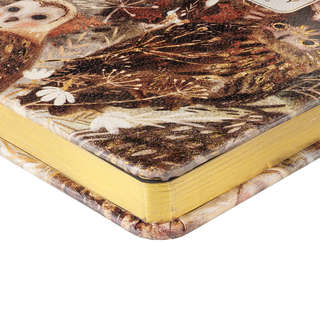 Ежедневник 'Волшебные совы' недатированный А6, 240 стр, BrunoVisconti 3