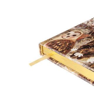 Ежедневник 'Волшебные совы' недатированный А6, 240 стр, BrunoVisconti 4