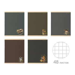 Тетрадь А5 'Love Me.Morandi' 48 листов в клетку, обложка в ас...