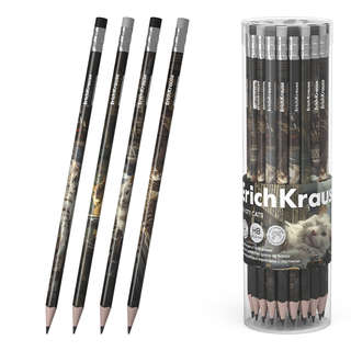Карандаш чернографитный НВ, ErichKrause Big City Cats, трехгр...