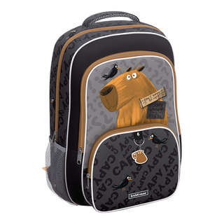 Ученический рюкзак ErichKrause ErgoLineR 20L Happy Capy