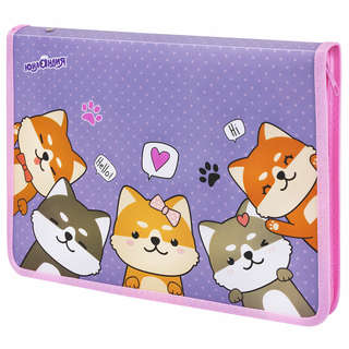 Папка для труда А4, на молнии, 1 отделение, откидная планка, ...