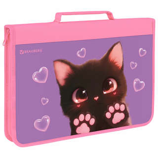 Папка на молнии А4 с ручкой, с органайзером, 1 отделение, Bra...