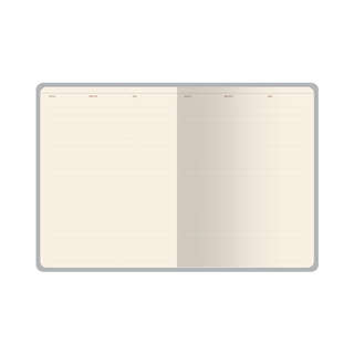 Ежедневник недатированный А6+, 120 листов, BV Flora: Ирисы 5