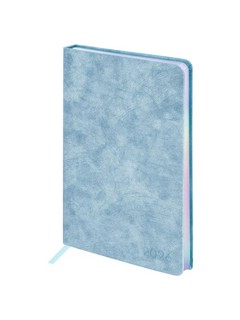 Ежедневник датированный 2026, А5, Brauberg Ice, под кожу, гол...