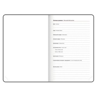 Ежедневник датированный 2026, А5, Brauberg Ice, под кожу, черный 4